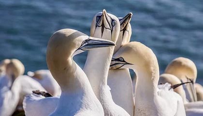 开云入口-TES战队新阵容首次亮相，团队配合初显成效，tes战队官方产品