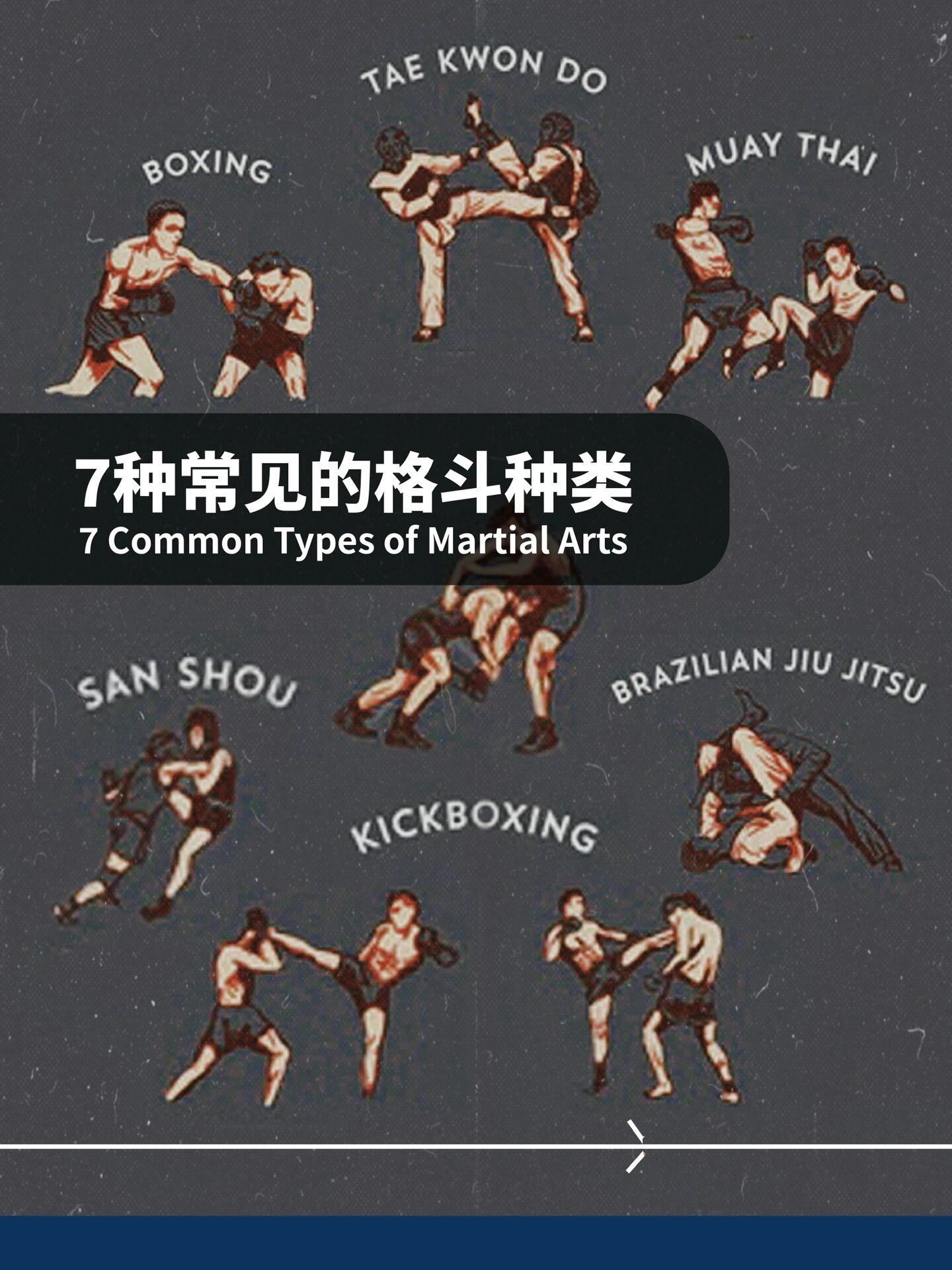 包含球员技术：炫酷动作欣赏与技巧讲解的词条